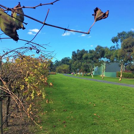 Mclaren Vale Studio Apartments Екстериор снимка